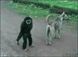 ҵ