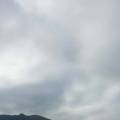 ֻƬ