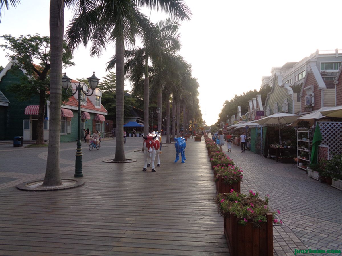 DSC04834_.jpg