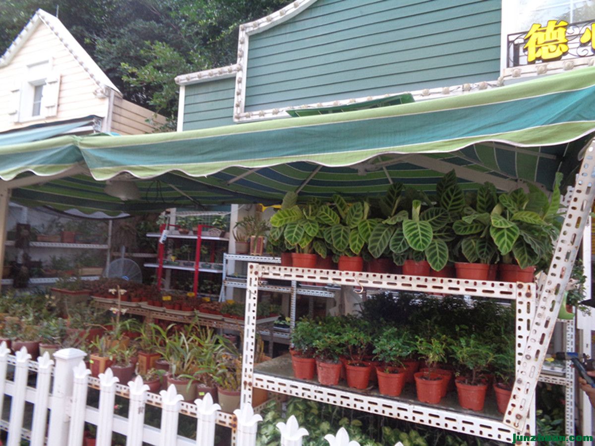 DSC04842_.jpg