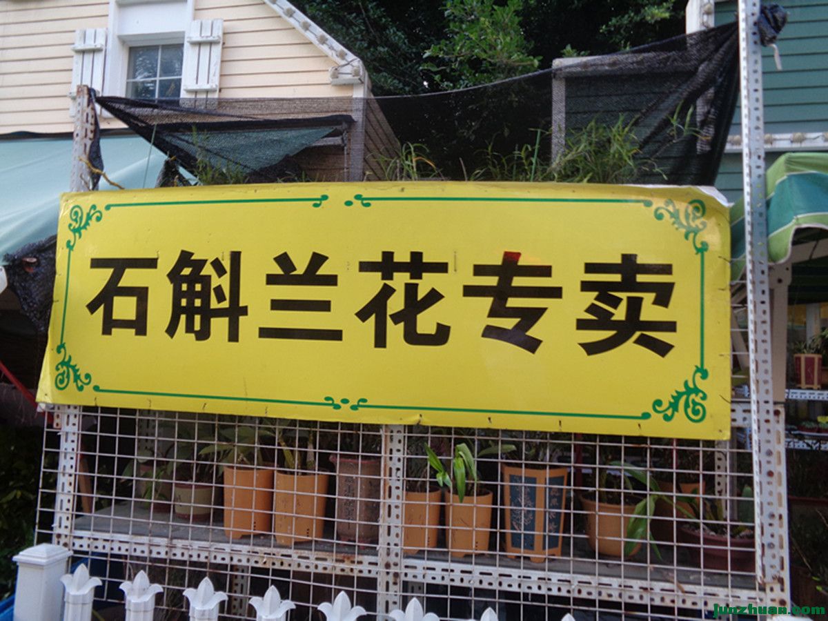 DSC04843_.jpg