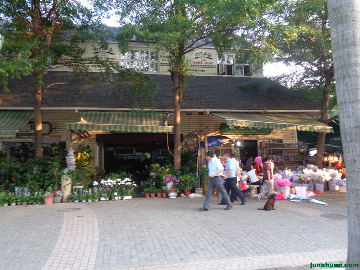 DSC04844_.jpg