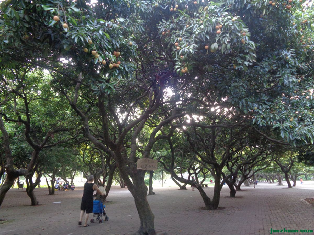 DSC00371_.jpg