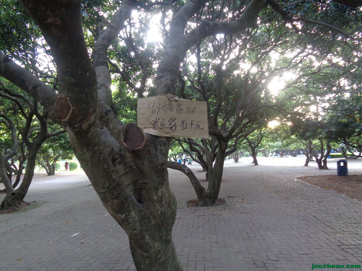 DSC00372_.jpg