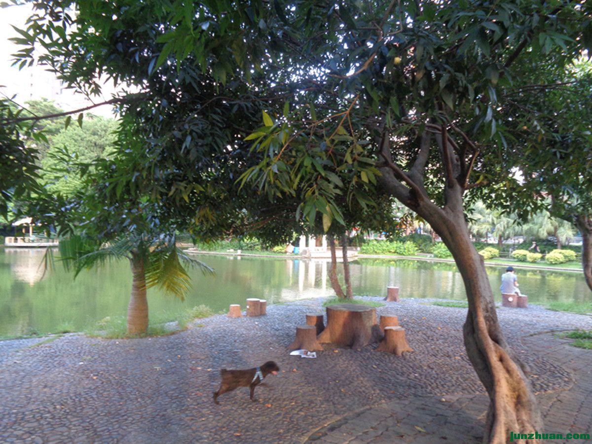 DSC00374_.jpg