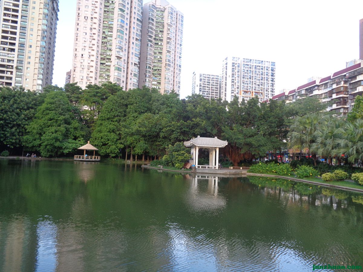 DSC00375_.jpg