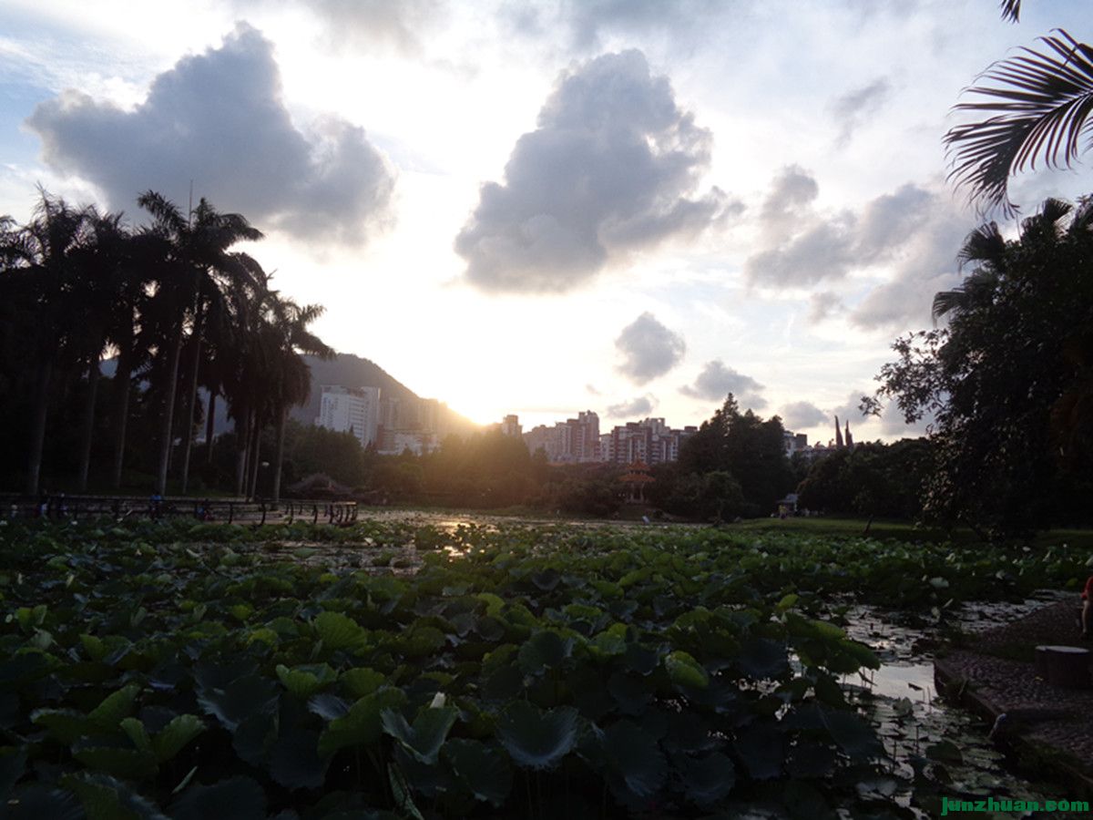 DSC00376_.jpg