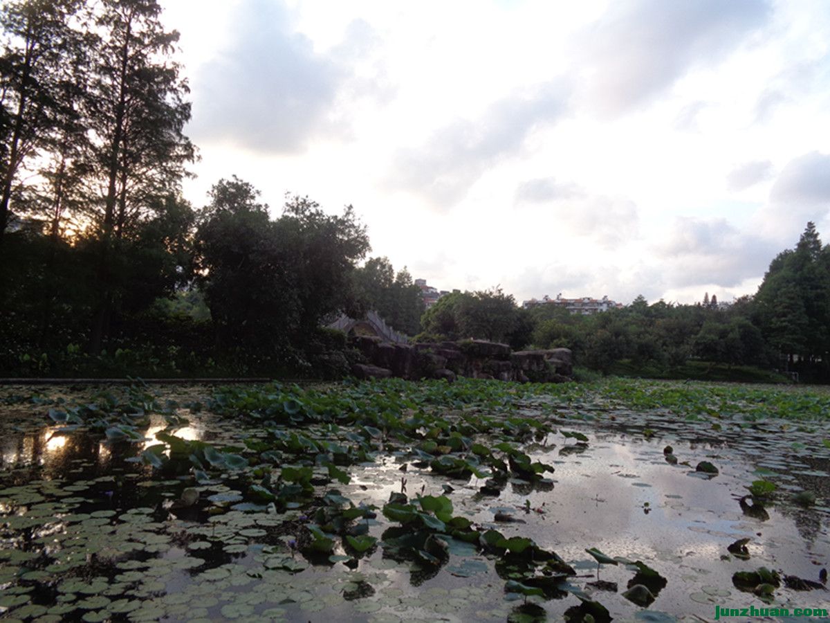 DSC00381_.jpg