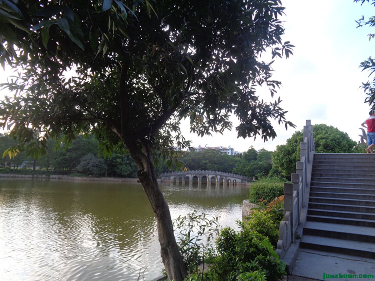DSC00384_.jpg