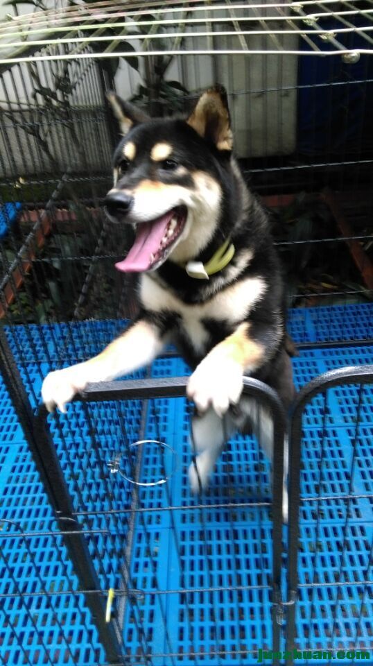 QQͼƬ20150626175803.jpg