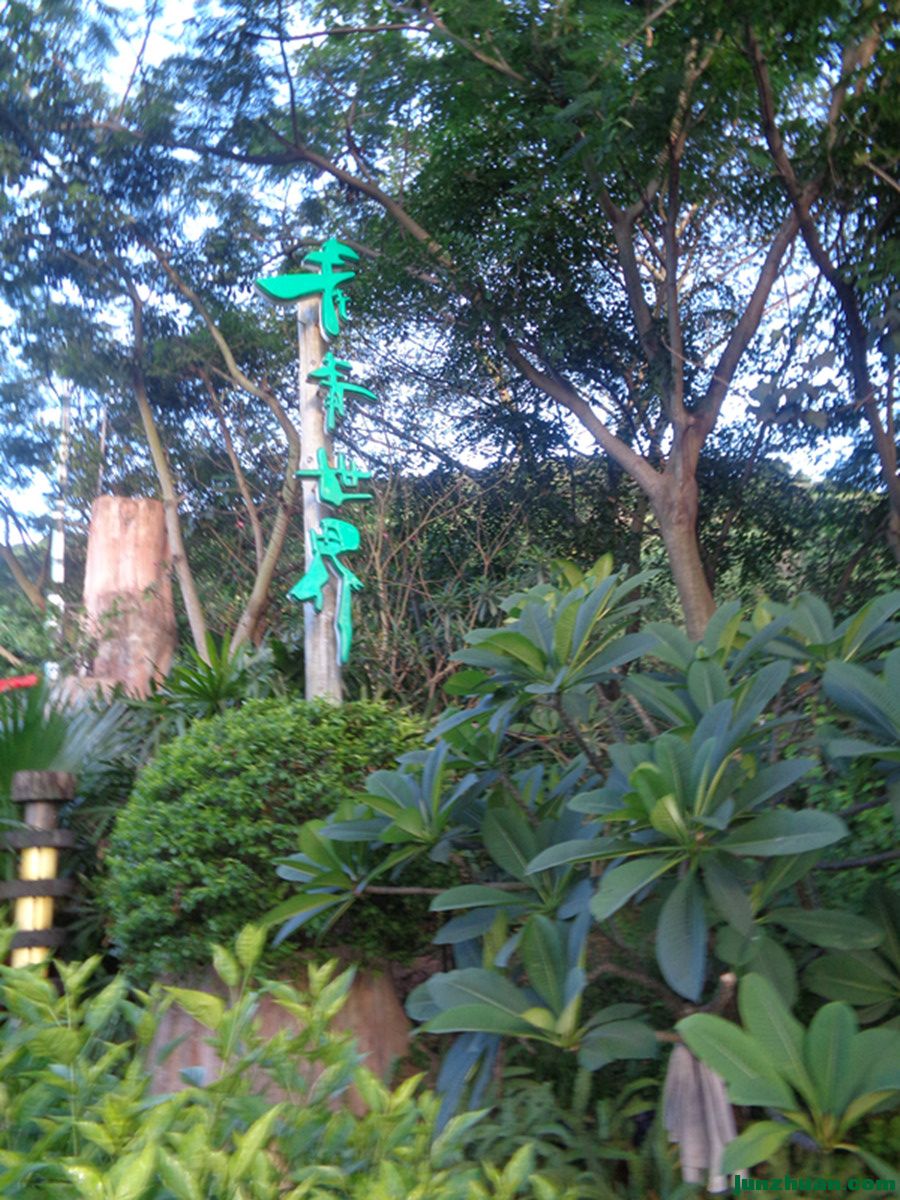 DSC00615_.jpg