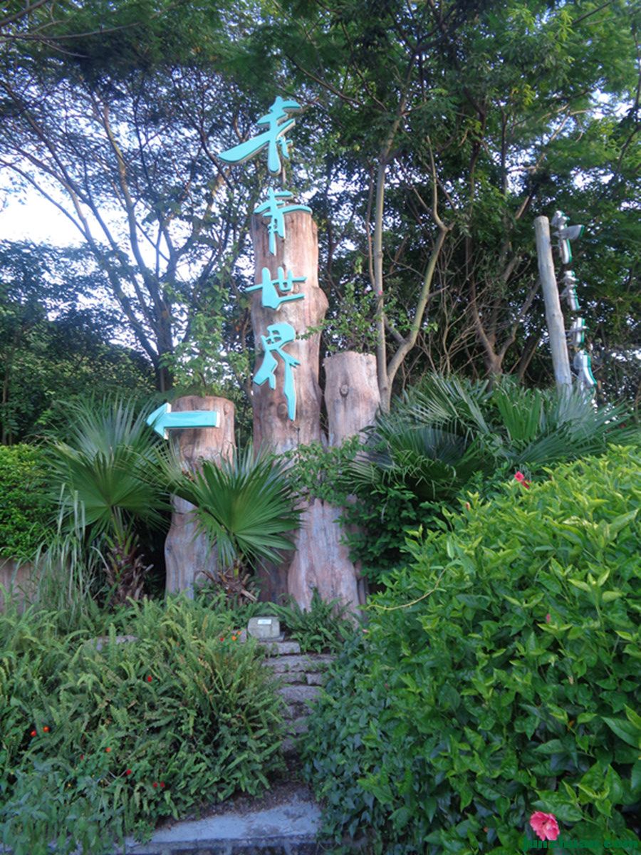 DSC00616_.jpg
