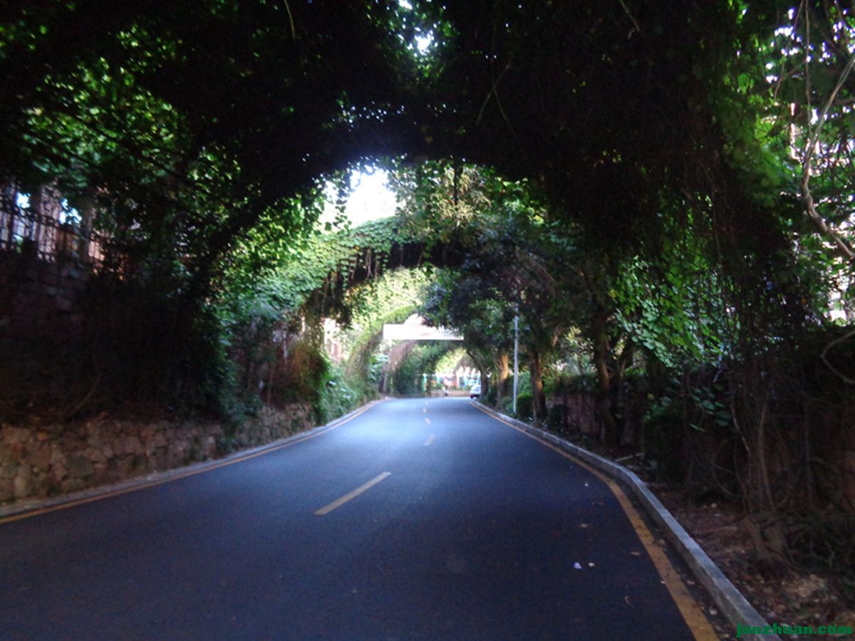 DSC00626_.jpg