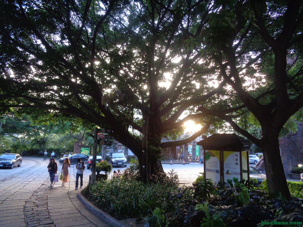 DSC00649_.jpg