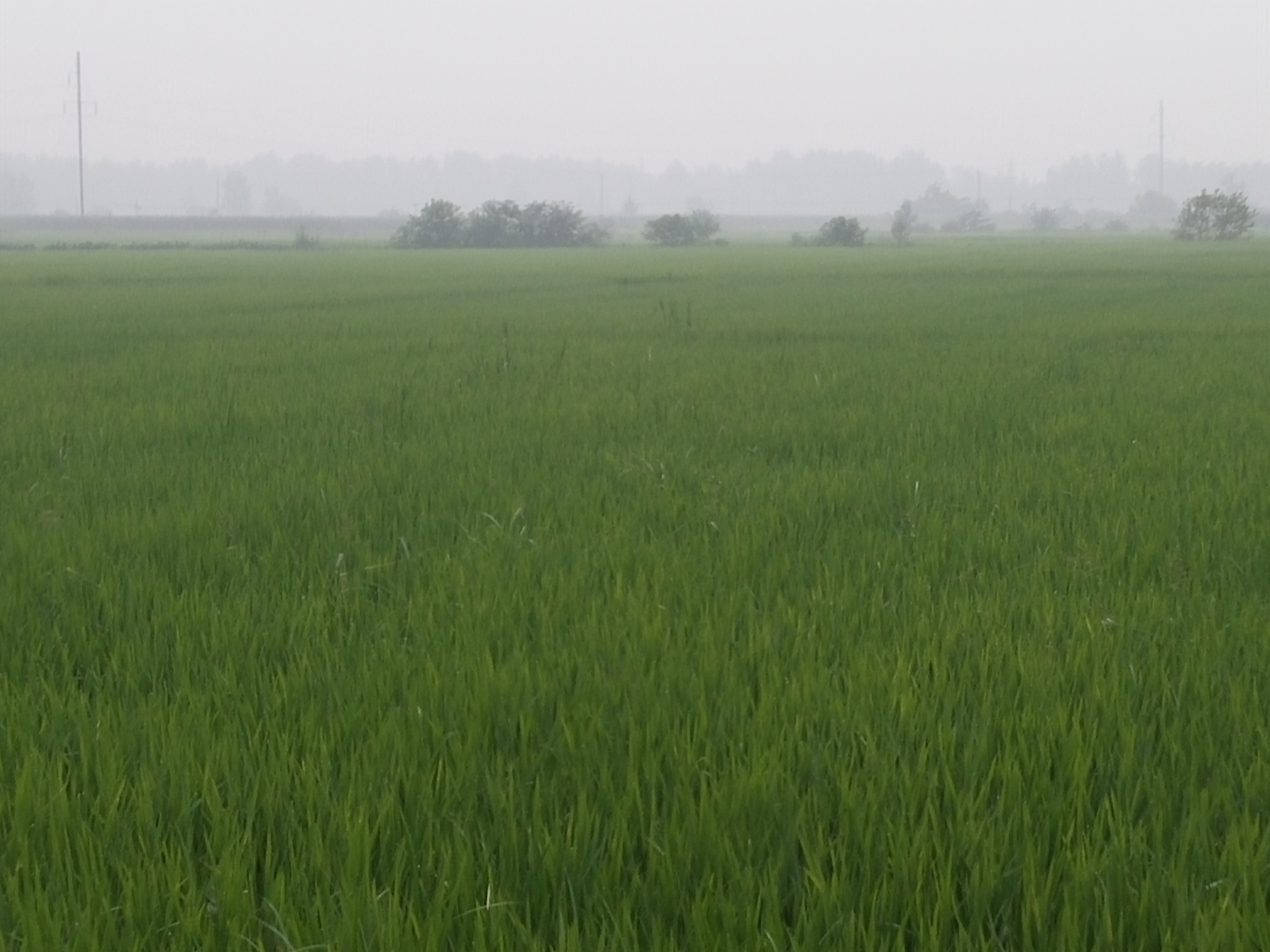 IMG20150720082214.jpg