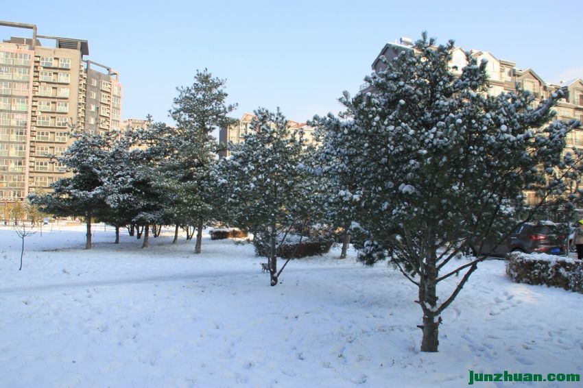 һгࣺѩѹɣ ֱͦ1.jpg