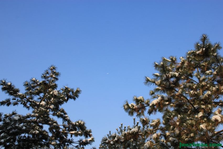 һгࣺѩѹɣ ֱͦ5.jpg