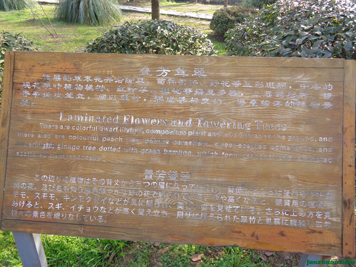 DSC06759.JPG