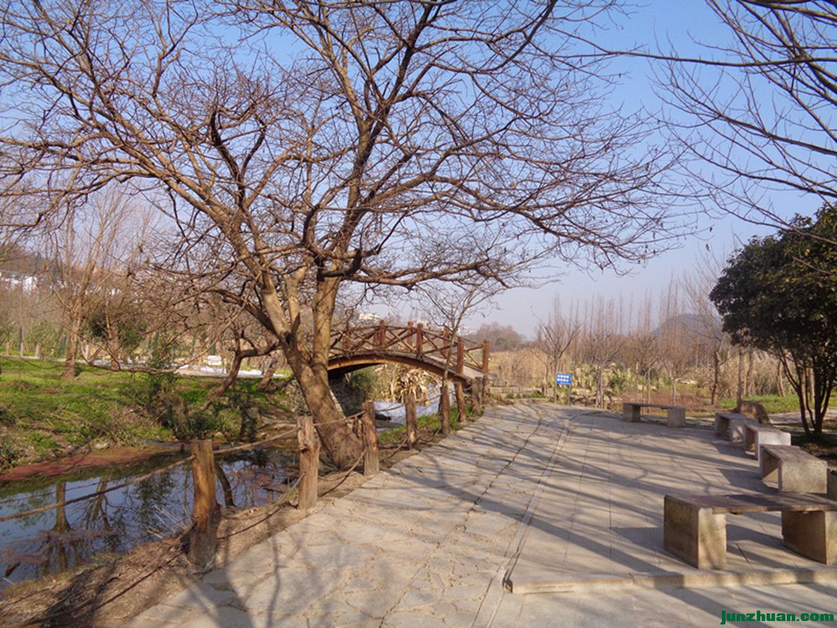 DSC06771.JPG