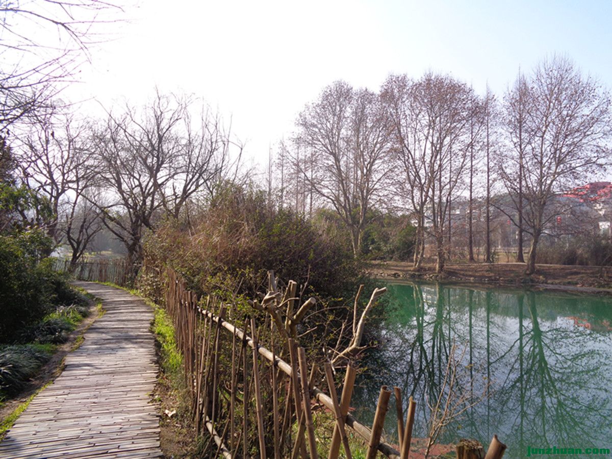 DSC06775.JPG