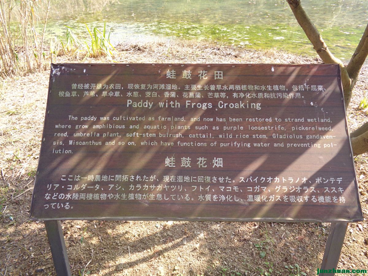 DSC06795.JPG