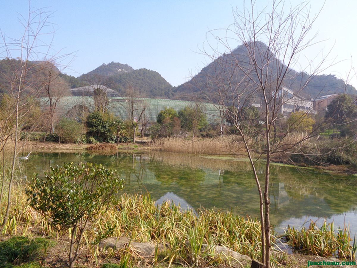 DSC06796.JPG
