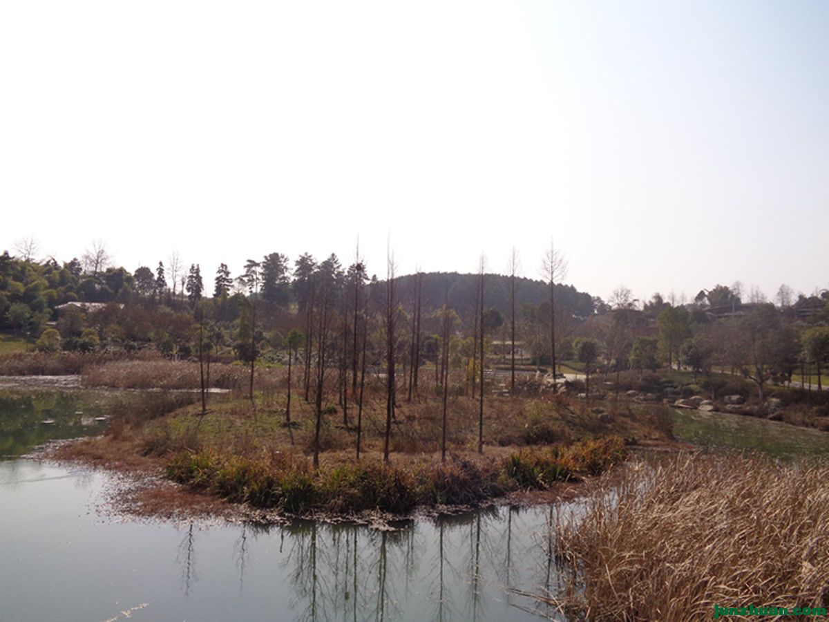 DSC06900_.jpg