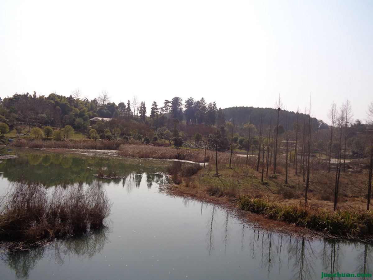 DSC06901_.jpg