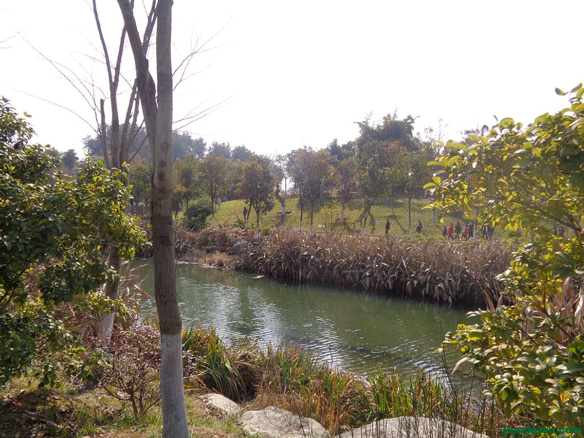DSC06909_.jpg