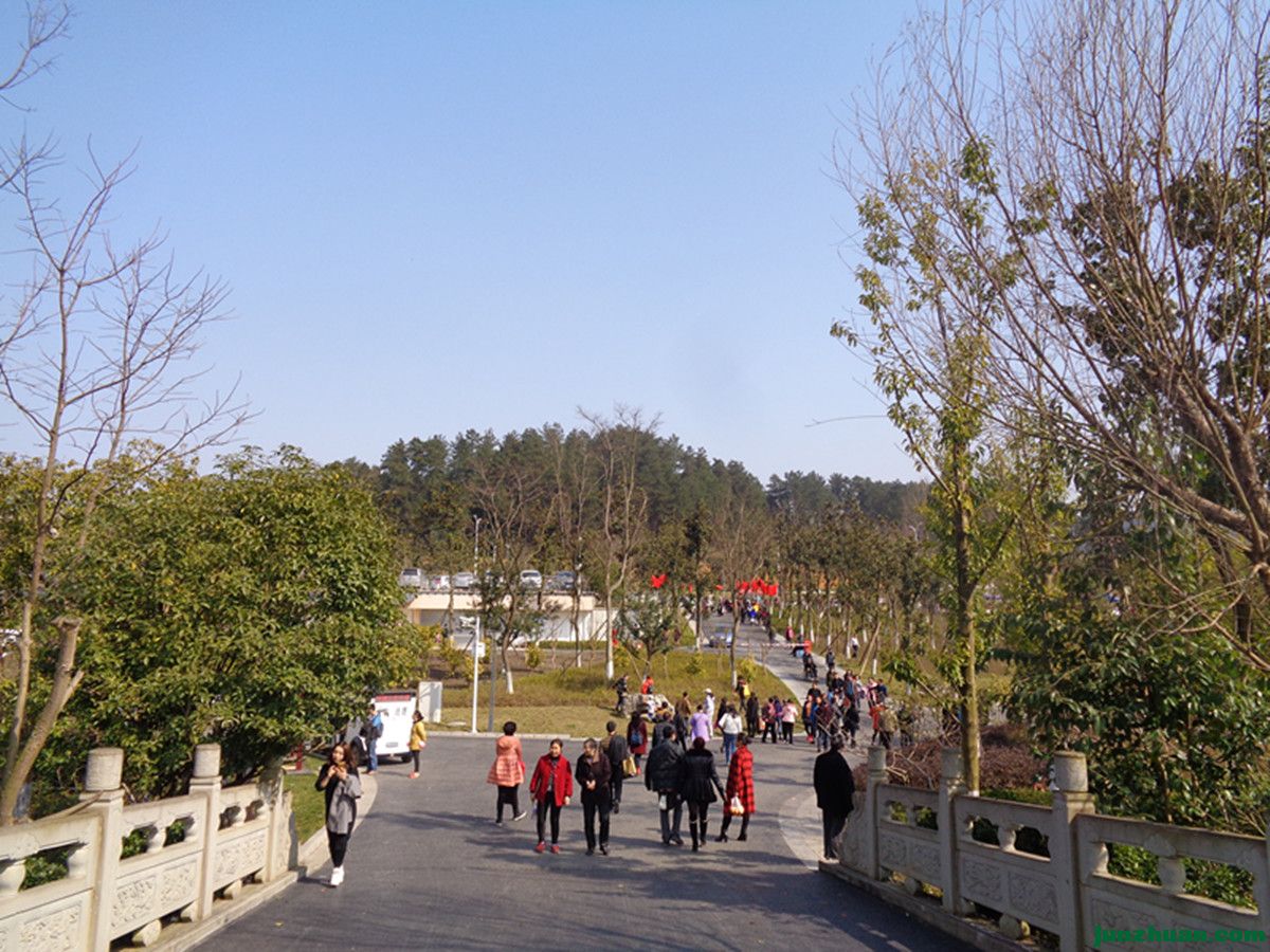 DSC06918_.jpg