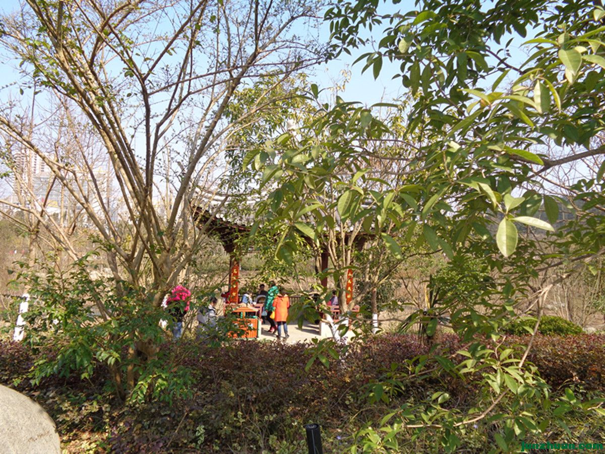 DSC06929_.jpg