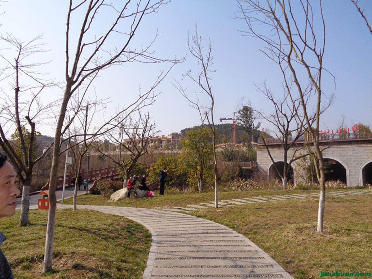 DSC06937_.jpg
