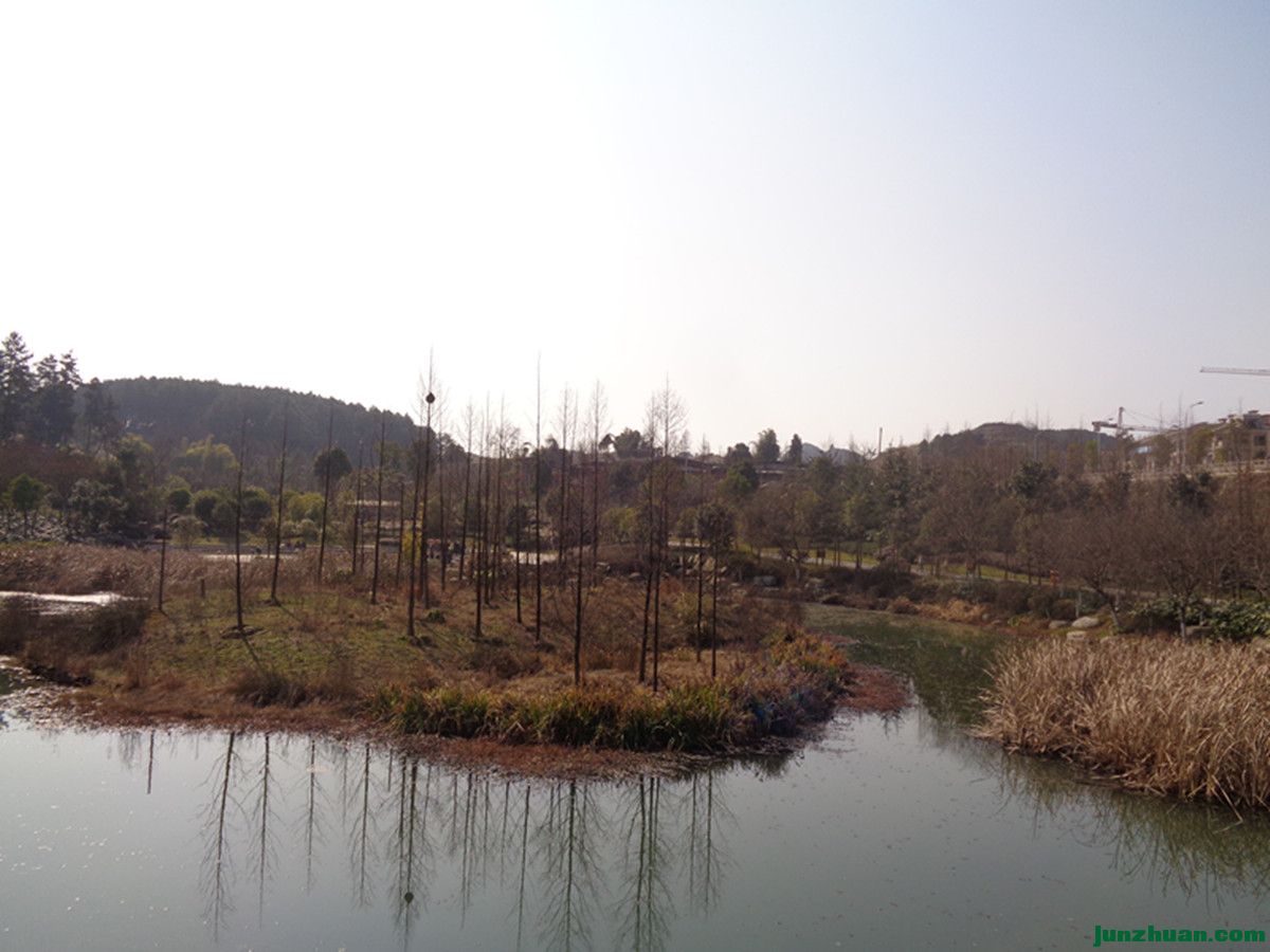 DSC06943_.jpg
