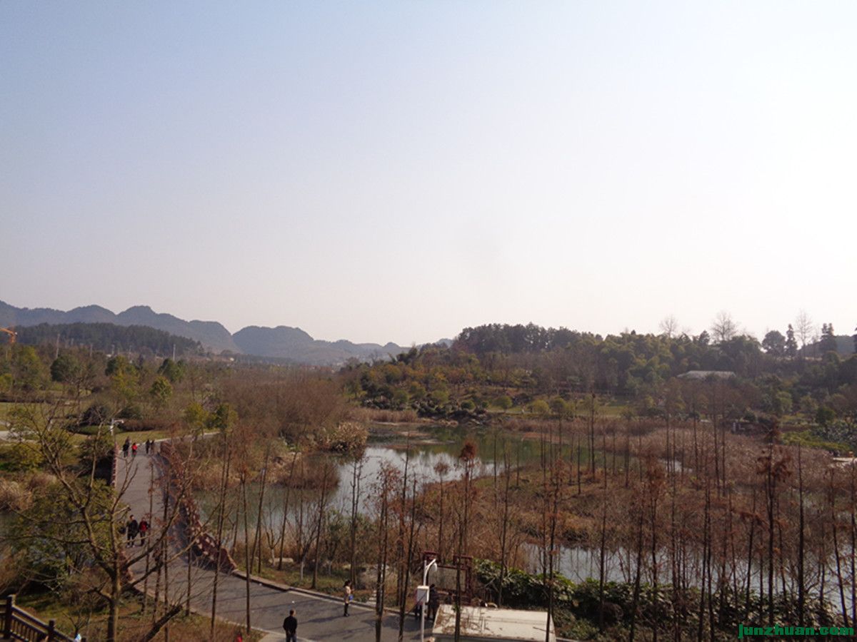DSC06950_.jpg