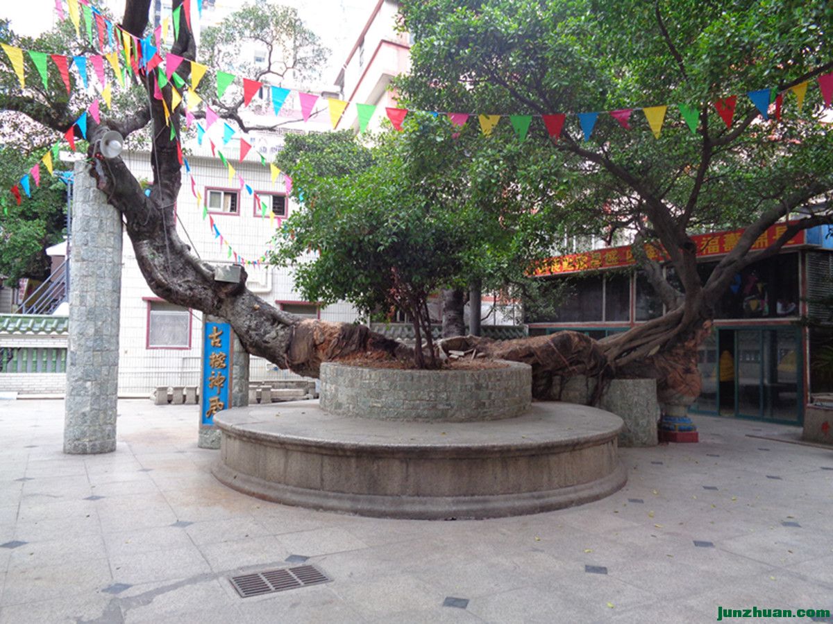 DSC07554_.jpg