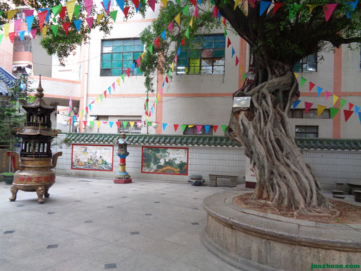 DSC07555_.jpg