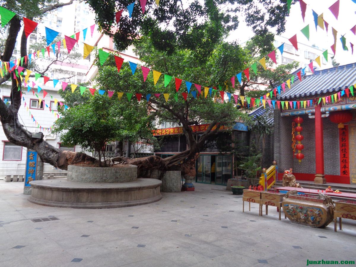 DSC07570_.jpg