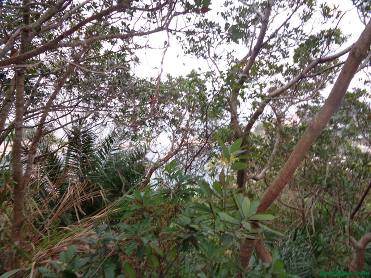 DSC07946_.jpg