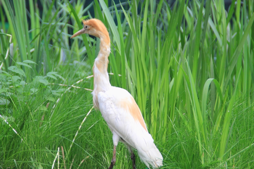 źʪر10.jpg