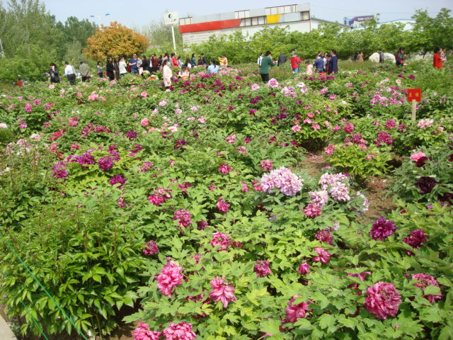 DSC00807.JPG