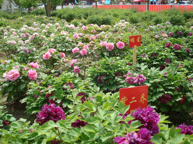 DSC00817.JPG