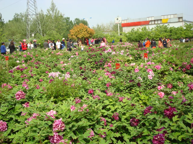 DSC00822.JPG
