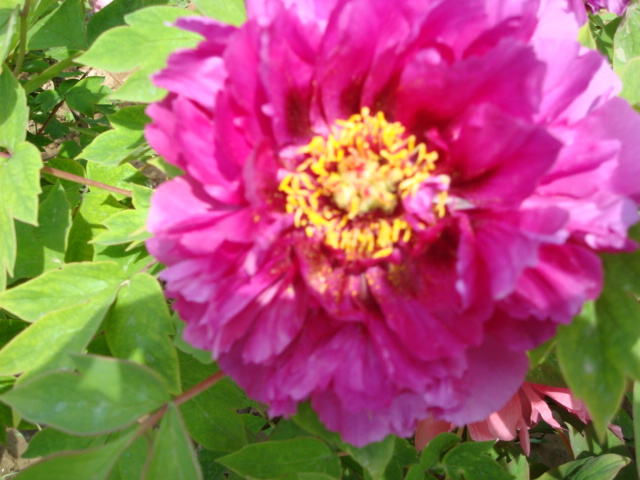 DSC00820.JPG
