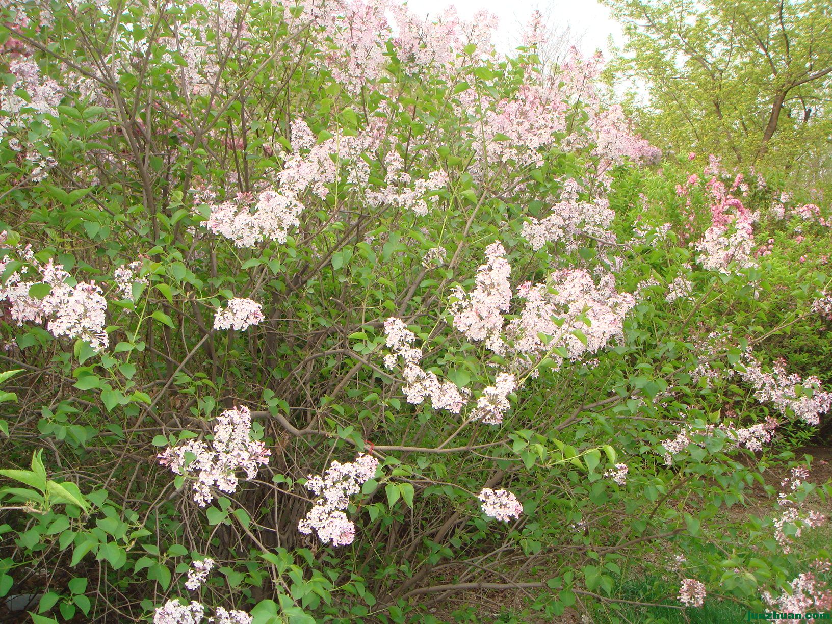 DSC06303.JPG
