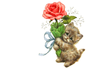 t0192540c7a17a14864.gif