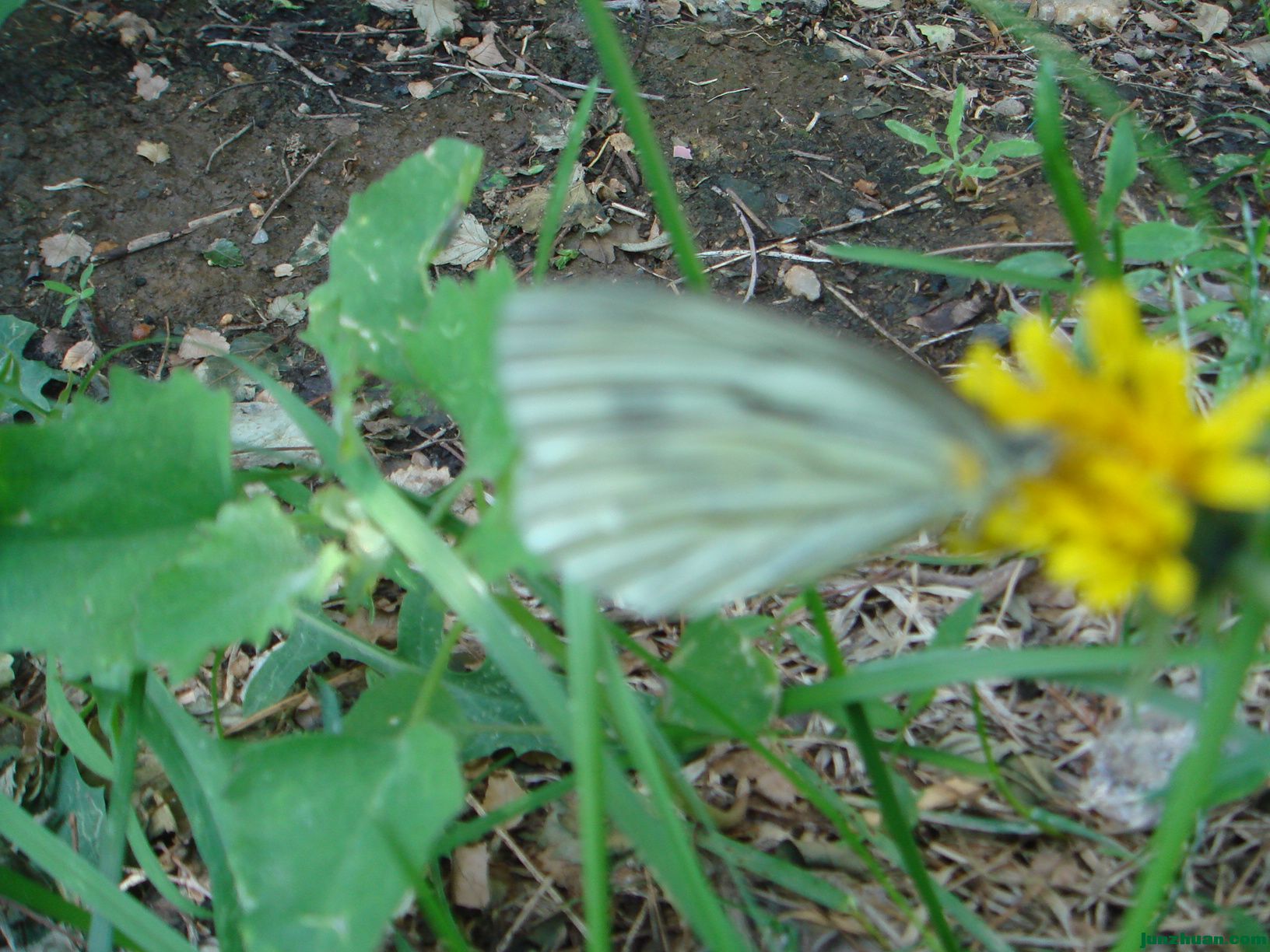 DSC06404.JPG