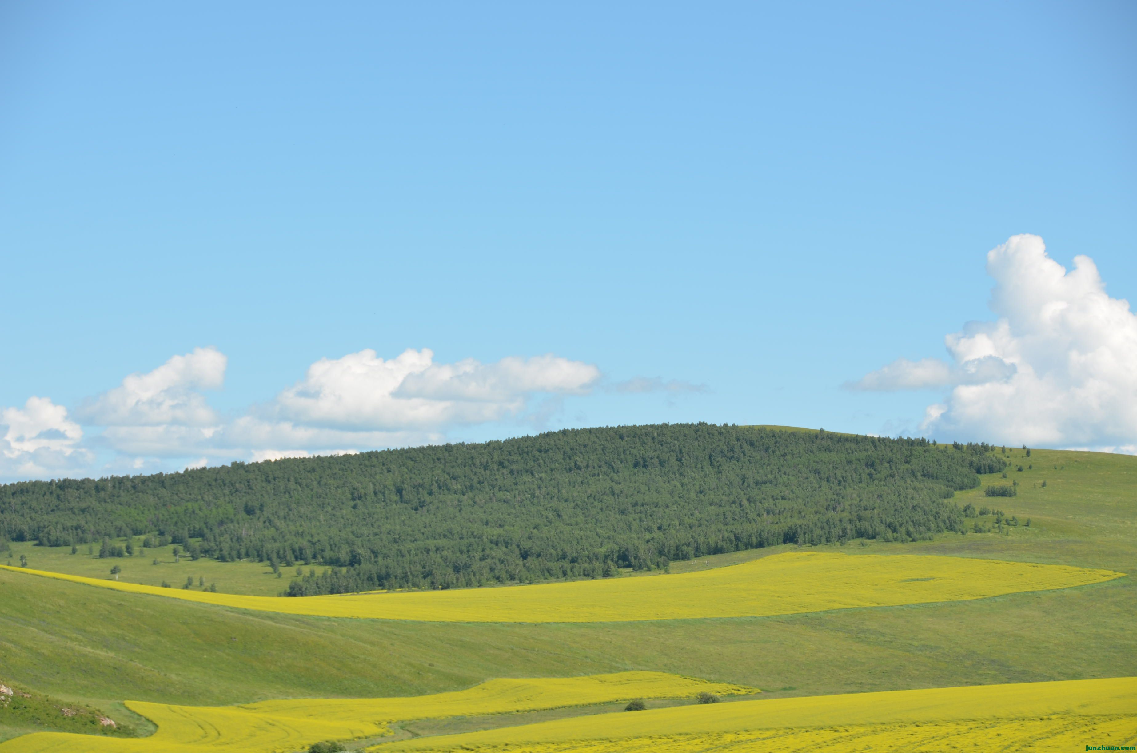 DSC_1315.JPG