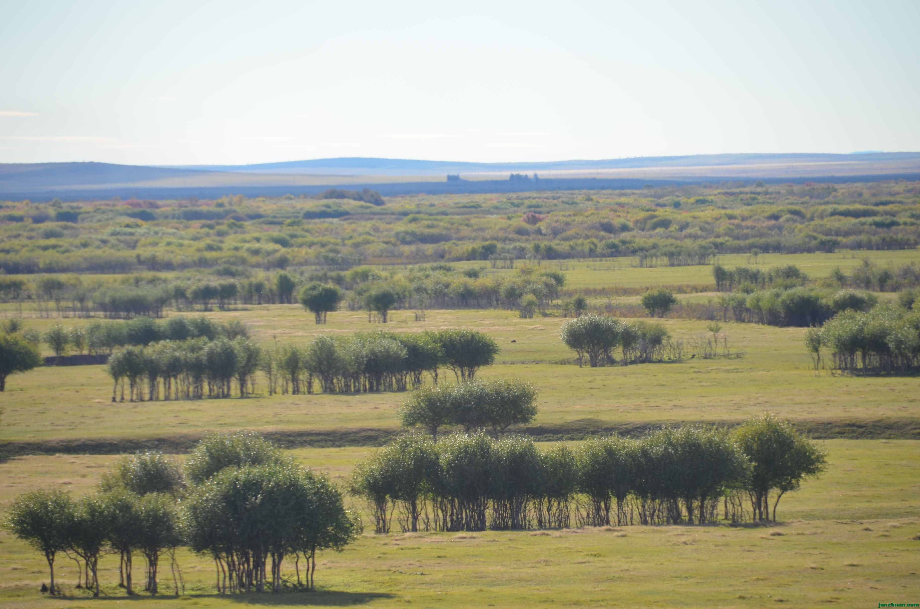 DSC_1818.JPG