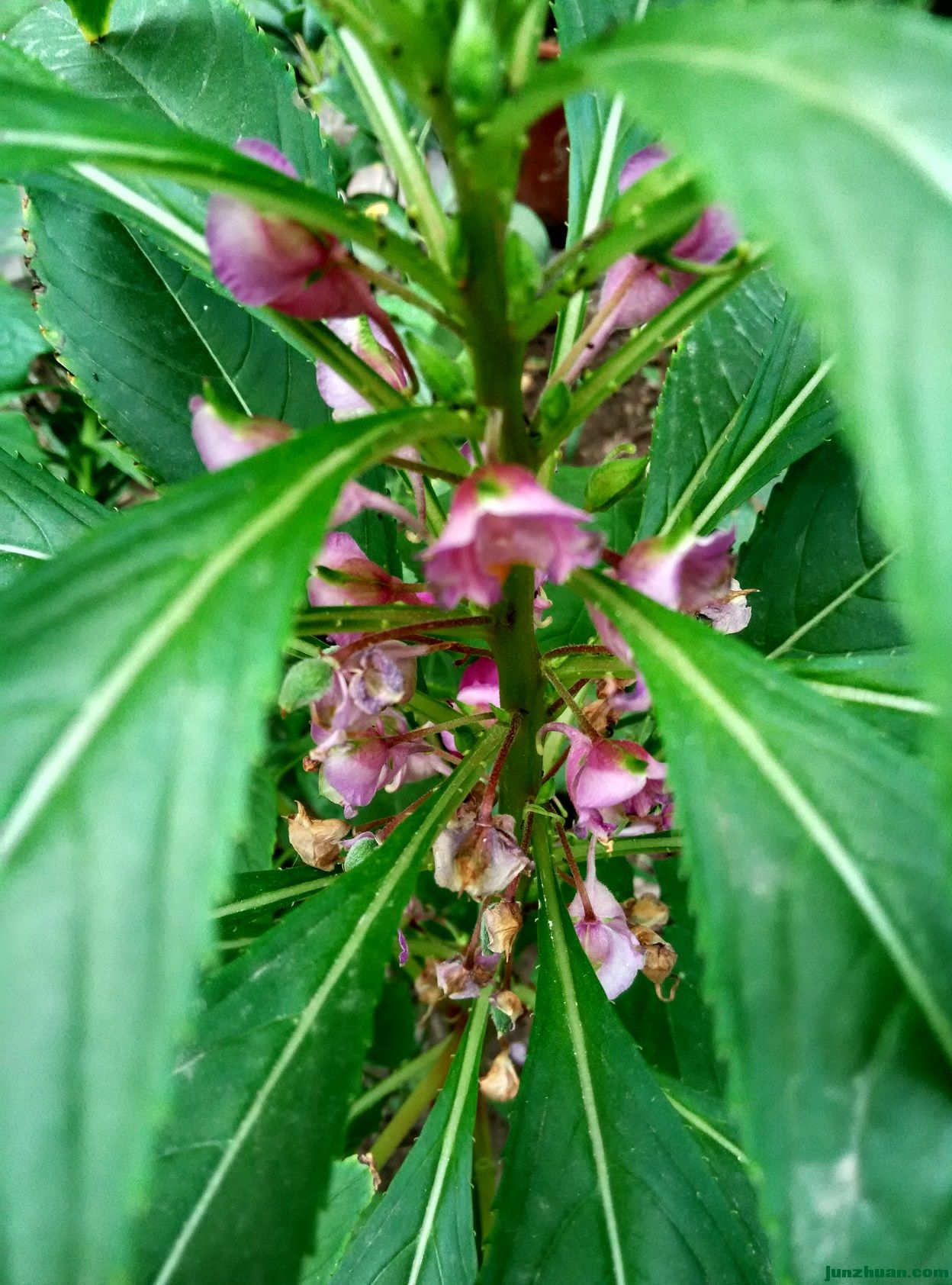 IMG_20160705_140134_HDR.jpg