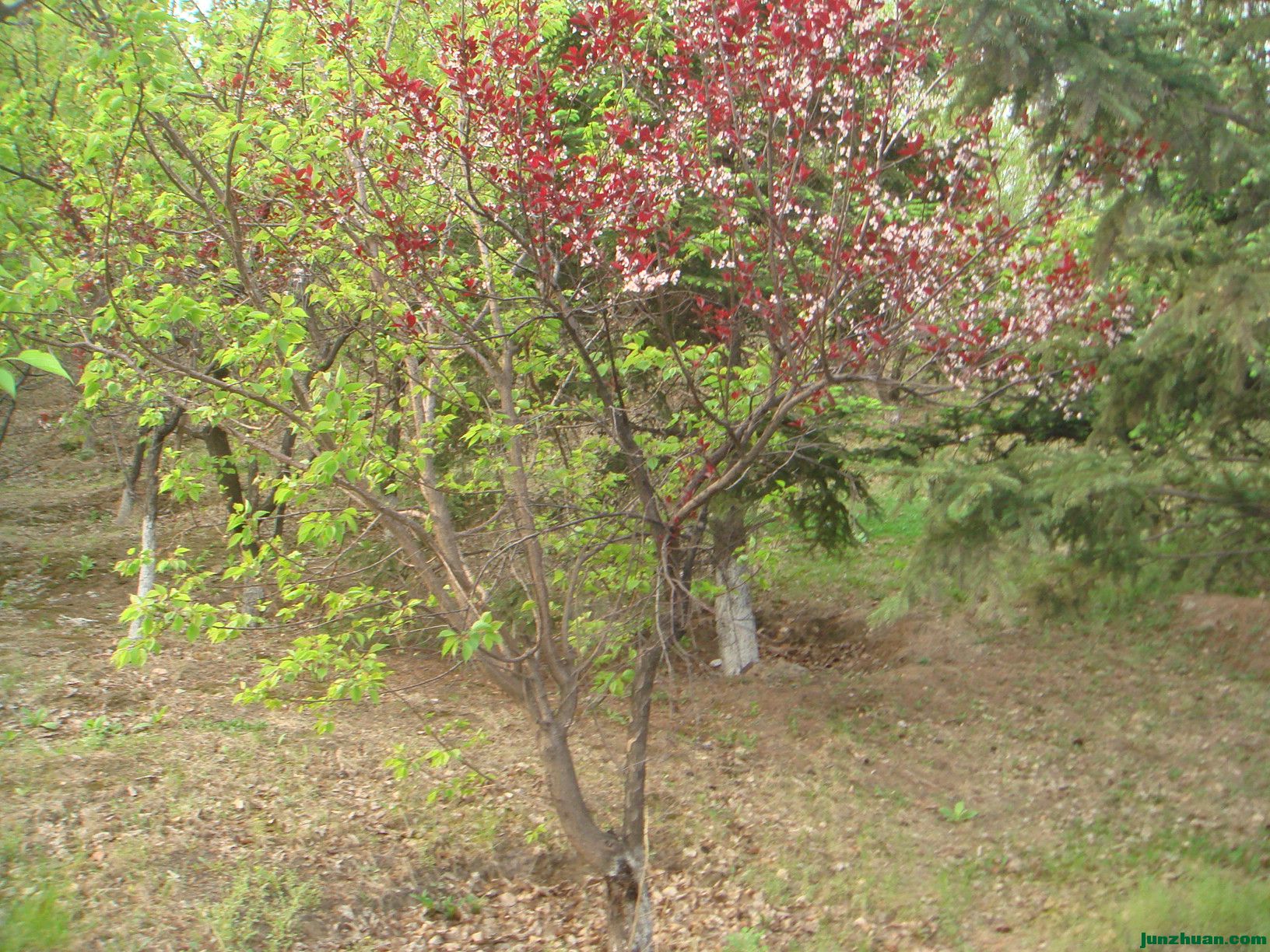 DSC06345.JPG